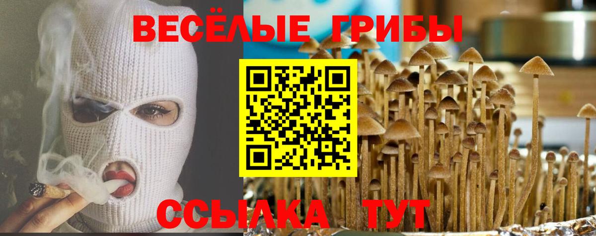 Чита  Галлюциногенные грибы ЛСД  Вход с VPN 