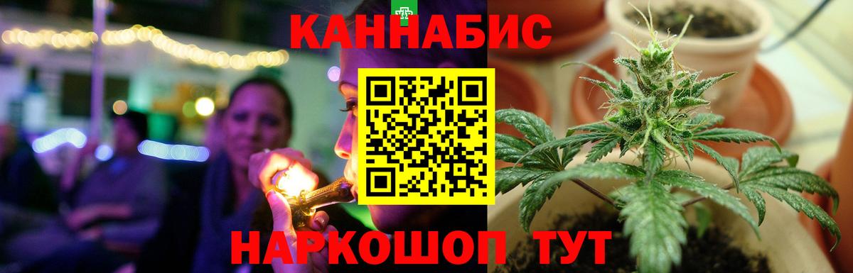 Шишки марихуана Amnesia Чита